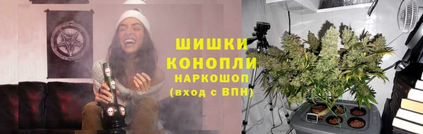 прущие грибы Володарск