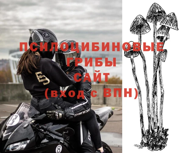 прущие грибы Володарск