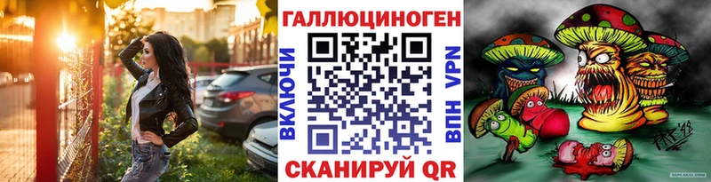 Купить закладки  Вилючинск  Псилоцибиновые грибы Psilocybine cubensis 